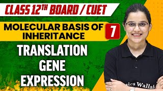 Molecular Basis of Inheritance 07  Translation Gene Expression  Class 12thCUET [upl. by Ailssa]