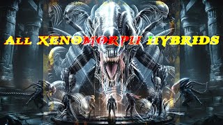 All Xenomorphs👽 in the Alien Saga Explained  Discover the Ultimate Xenomorph Evolution [upl. by Virgilio]