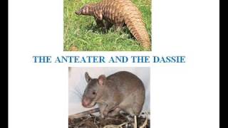 THE ANTEATER AND THE DASSIE  TNPSC GENERAL ENGLISH [upl. by Arber688]