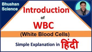 WBC White Blood Cells Introduction in Hindi  Bhushan Science [upl. by Giddings861]