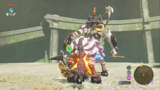 Zelda Breath of The Wild  Coliseum Ruins Lynel [upl. by Gans]