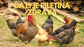 DA LI JE ZDRAVO JESTI PILETINU 🐔  KARNIVOR DIJETA 🥩 [upl. by Morgan200]