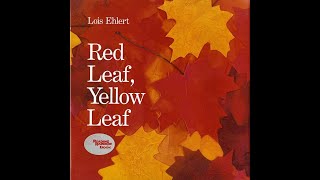 Red leaf Yellow Leaf Storywalk [upl. by Lais679]