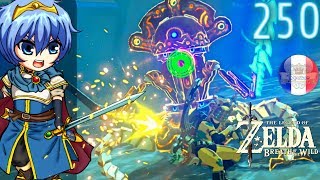 Zelda Breath of the Wild 250 Gardien VS Catcher Masqué [upl. by Gothart]