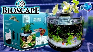 AMAZING CURVED GLASS AQUARIUM REVIEW Bioscape Hydro Unbox  Aquascape [upl. by Inalak679]