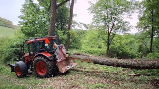 Prvá ťažba dreva na urbári s Zetorom Proxima 110 plus Stihl ms 500i Amles Forestwork Felling oak [upl. by Ahsekel286]