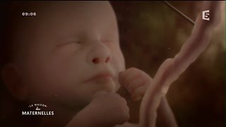 Nos bébés ont une histoire le documentaire événement sur la vie in utéro [upl. by Nilam]