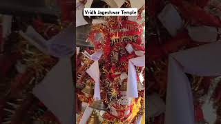 Vridh Jageshwar temple shorts temple lordshiva song music nature live love sivan [upl. by Herrod]