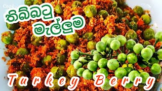 තිබ්බටු මැල්ලුම  Thibbatu Malluma  Wild Eggplant  Turkey Berry [upl. by Frankel]