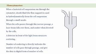 Measurement of Bacterial Cell Growth [upl. by Ahsimik859]