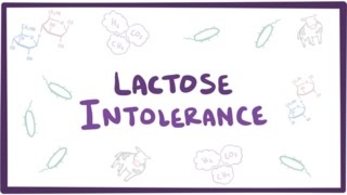 Lactose intolerance  causes symptoms diagnosis treatment amp pathology [upl. by Aidne577]