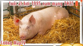 TUỔI ẤT HỢI NAM MẠNG SINH 1995 NĂM 2025  một cách chi tiết nhất và đầy đủ nhất Cường MậpTV [upl. by Arin]