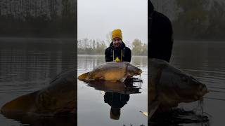 5grad heute früh aber die Fische laufen 🐋🙌 shorts carpfishing karpfenangeln fishing carp [upl. by Eislek717]