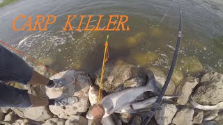 CARP KILLERS OF REELFOOT LAKE BOWFISHING ASIANS [upl. by Naples]