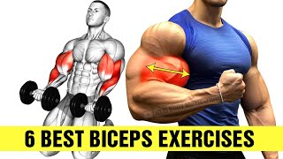 6 Best Biceps Exercises At Gym For Bigger Arms [upl. by Akirdnas138]