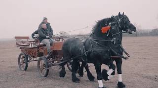 Boboteaza in Pietrosani  botezul cailor 2019 [upl. by Gaultiero273]