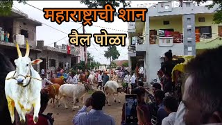 Bail Pola 2024 🤩  Maharashtrian Festival Pola  village Pola Vlog ❤️ [upl. by Hauser595]