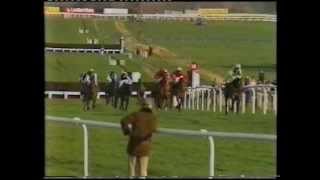 1982 Mackeson Gold Cup Handicap Chase [upl. by Mcdonald]