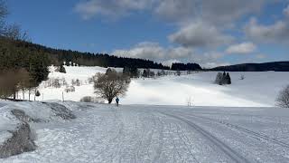 Oberwiesenthal Loipentor1 [upl. by Gatias149]