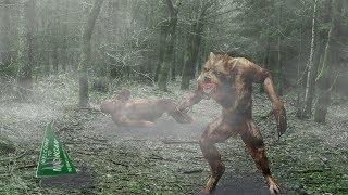 Cryptid Spotlight The Dogman [upl. by Hjerpe]