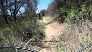 Rattlesnake close call while mountain biking in California [upl. by Freeman]