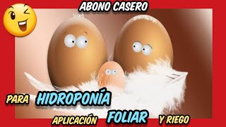 👉👉👉 Abono CASERO para el sistema HIDROPÓNICO ⭐⭐ Fertilizante FOLIAR casero cáscaras de huevo LÍQUIDO [upl. by Rorry746]