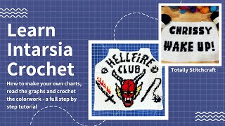 How to Intarsia Crochet  in depth tutorial from graph design to working the color changes [upl. by Remos]