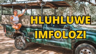 Incredible Day Safari in HLUHLUWEIMFOLOZI PARK [upl. by Eliath]