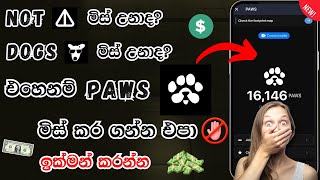 PAWS Airdrop Sinhala Guide  Telegram Airdrop Claim amp Wallet Connect E  Money pawsairdrop crypto [upl. by Nahpets]