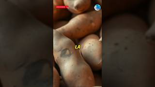 La patate douce  super  légume [upl. by Oileve]