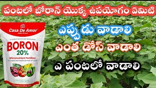 BORON  20 boron  water soluble boron fertilizer benefits of boron  how to increase frute size [upl. by Ellegna]