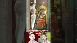 NagasadhuAghori Matha Pooja aghori trendingshorts [upl. by Virgel]