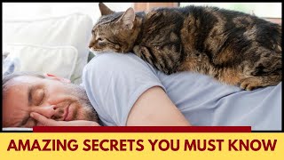 Why Does My Cat Sleep On Me Facts You Must Know [upl. by Myrtie921]