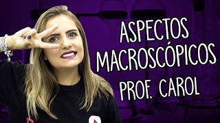 Aspectos macroscópicos  Introdução ao estudo da Química  Prof Carol [upl. by Anihsat522]