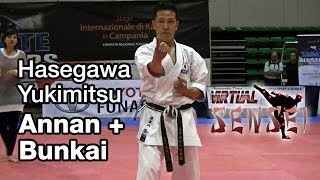 Hasegawa Yukimitsu teaching kata Annan Ryuei ryu  bunkai  Karate All Stars 2013 [upl. by Grory849]