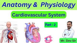 Cardiovascular System  Part 2  Structure  Functions  Study Help And Health By Dev Sir [upl. by Refinaj]