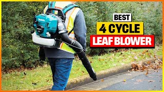 Best 4 Cycle Leaf Blower In 2024 A List Of Top 6 Picks [upl. by Eioj]