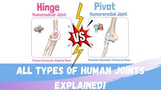 Kinesiology amp Biomechanics Joint Types Synarthrodial amp Diarthrodial Joints [upl. by Fine]