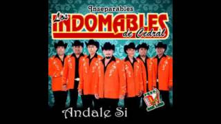 Los Indomables Del Cedral  Celos Injustos 2013 [upl. by Evelinn]