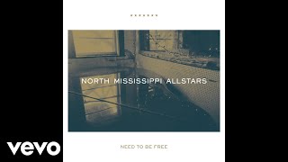 North Mississippi Allstars  Need to be Free Audio [upl. by Henden]