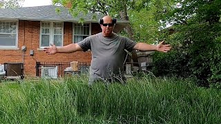 Homeowner SHOCKED at BACKYARD TRANSFORMATION [upl. by Ileana]