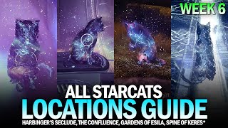 All Starcat Locations Guide  Week 6 Harbingers Seclude Confluence Gardens of Esila Destiny 2 [upl. by Kain175]