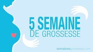 5 semaines de grossesse  Semaine 5 de grossesse  La grossesse semaine par semaine [upl. by Piero]