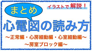 教科書をわかりやすく！「心電図のわかりやすい読み方まとめ」正常編・心房細動編・心室細動編・房室ブロック編 [upl. by Adlar165]