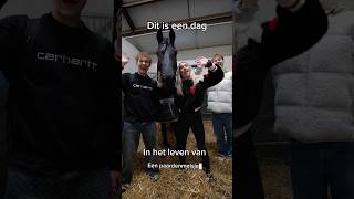 Het leven van een Paarden Meisje 🐎 Zit jij op een sport 🤔 ​⁠​⁠PaardenpraatTV [upl. by Elatan67]