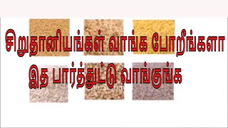 Millets in Tamil  Types of Millets in Tamil  Siruthaniyangal in Tamil alphakitchentamil [upl. by Ailime]