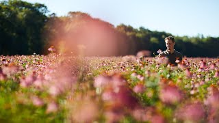 Beleef de AVogel tuinen met onze tuinmannen Joost en Frans [upl. by Moran]