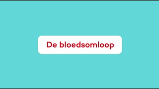 Wat is de Bloedsomloop [upl. by Thordia113]