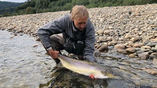 Gaula river  Salmon summer fishing [upl. by Gretal]