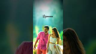 Nijamena Nijamena song lyrics Whatsapp status telugu  Sita  Bellamkonda Sai Sreenivas [upl. by Aitnahs]